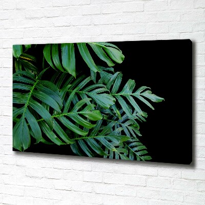 Tablou pe pânză canvas Monstera