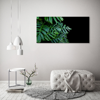 Tablou pe pânză canvas Monstera