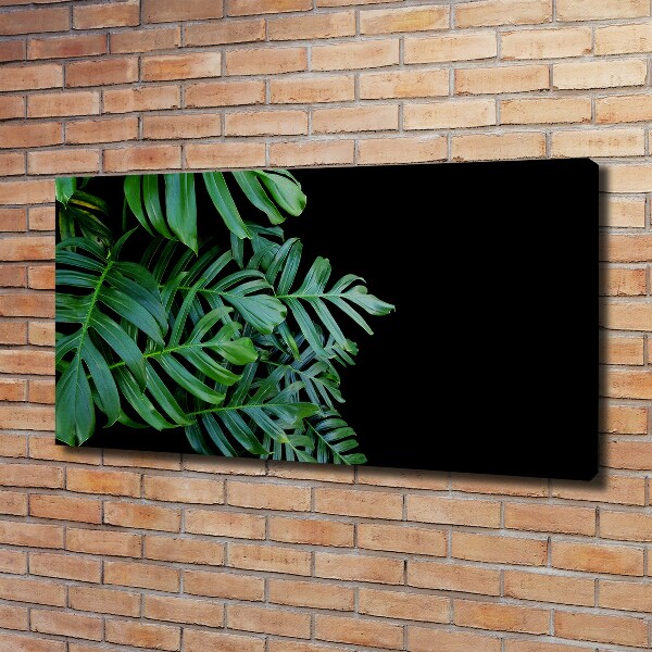 Tablou pe pânză canvas Monstera