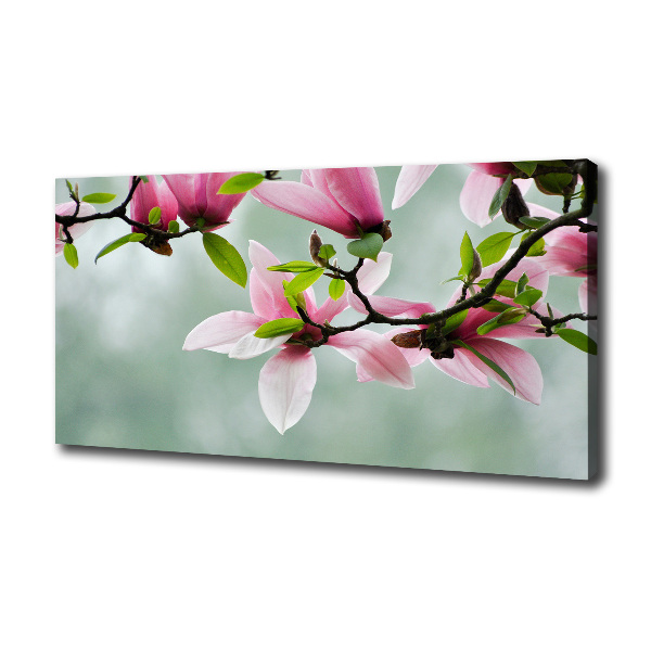 Print pe canvas Magnolie