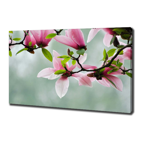 Print pe canvas Magnolie