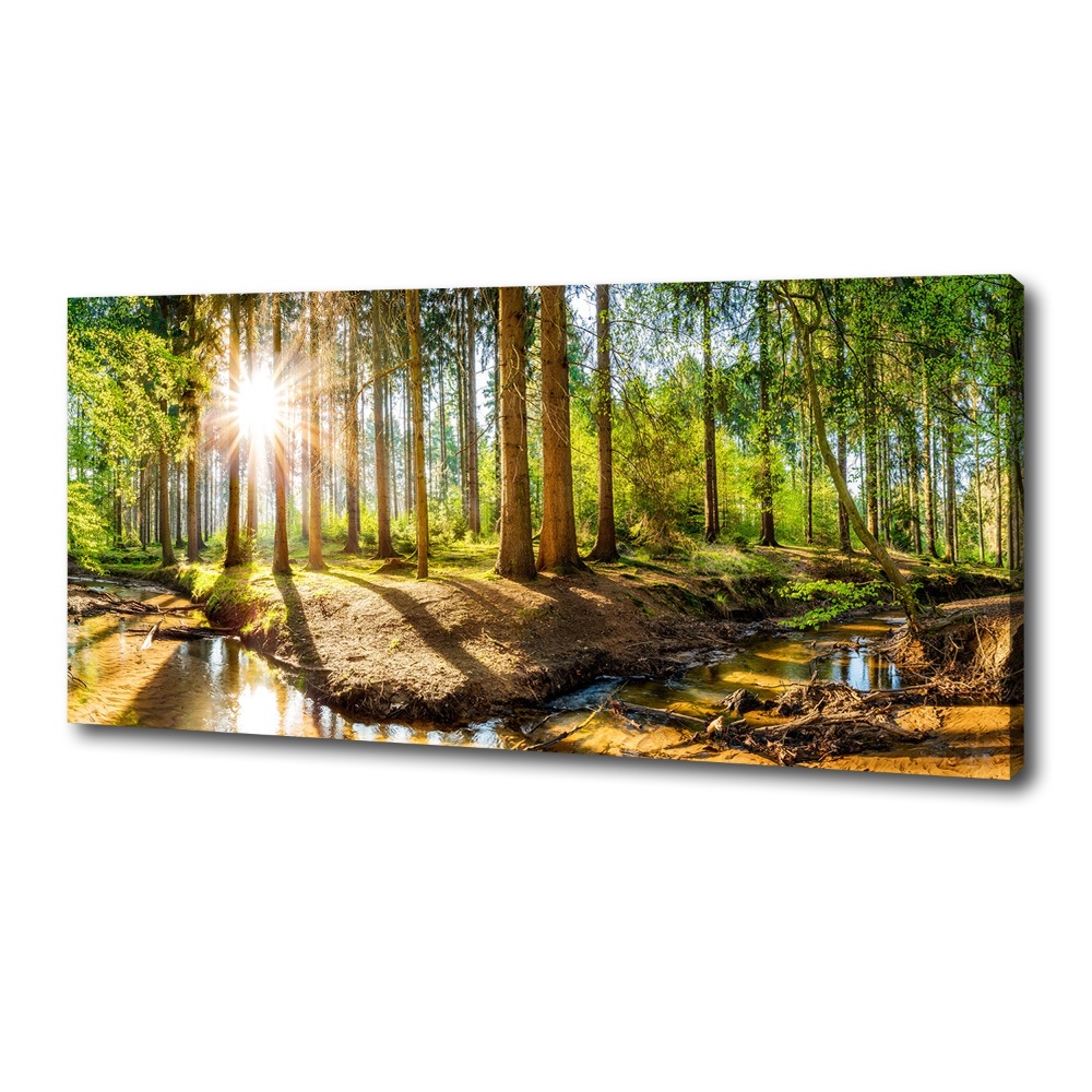 Tablou pe pânză canvas Panorama de pădure