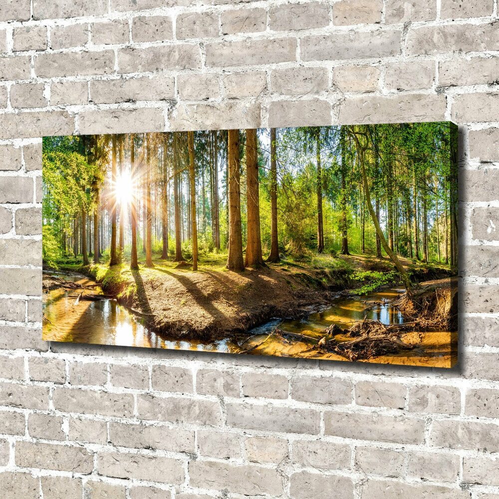 Tablou pe pânză canvas Panorama de pădure