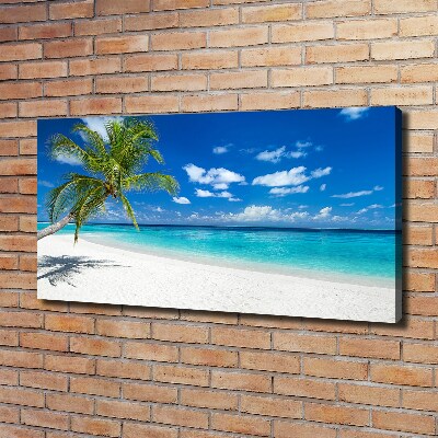 Tablou pe pânză canvas plaja tropicala