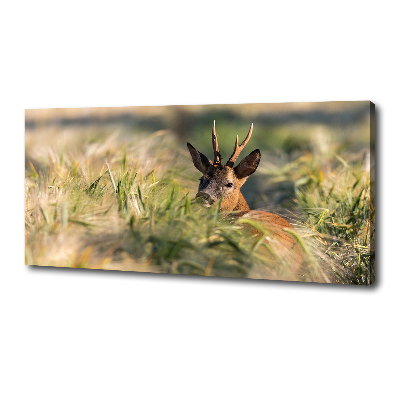 Print pe canvas Deer în domeniu