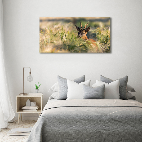 Print pe canvas Deer în domeniu