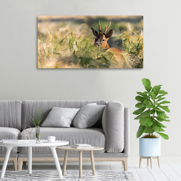 Print pe canvas Deer în domeniu