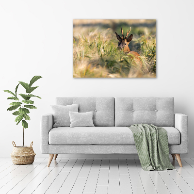 Print pe canvas Deer în domeniu