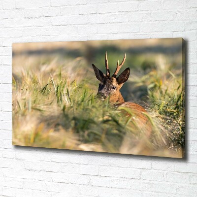 Print pe canvas Deer în domeniu