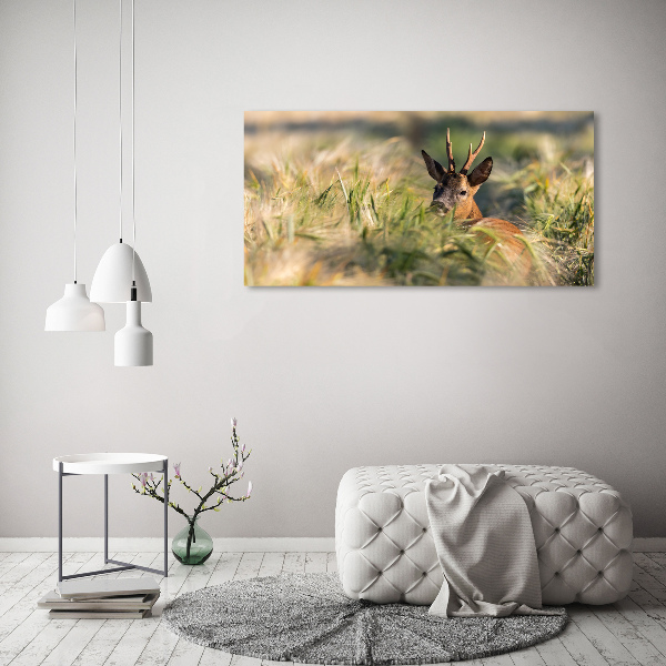 Print pe canvas Deer în domeniu