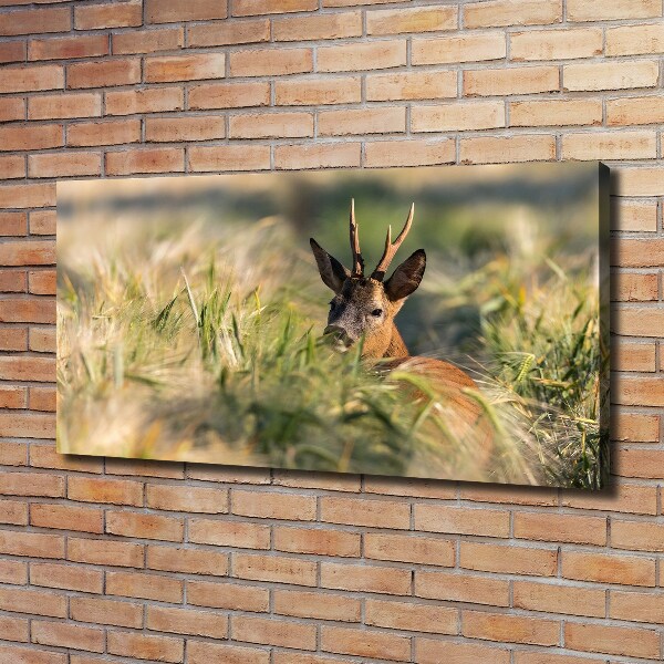 Print pe canvas Deer în domeniu