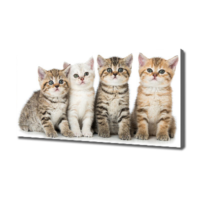 Tablouri tipărite pe pânză pisici de talie mică