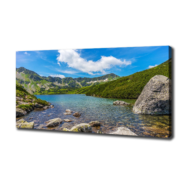 Print pe canvas Tatra Valley