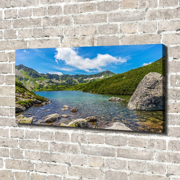 Print pe canvas Tatra Valley