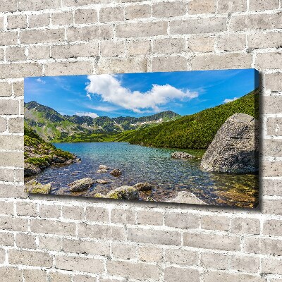 Print pe canvas Tatra Valley