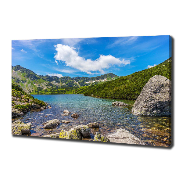 Print pe canvas Tatra Valley