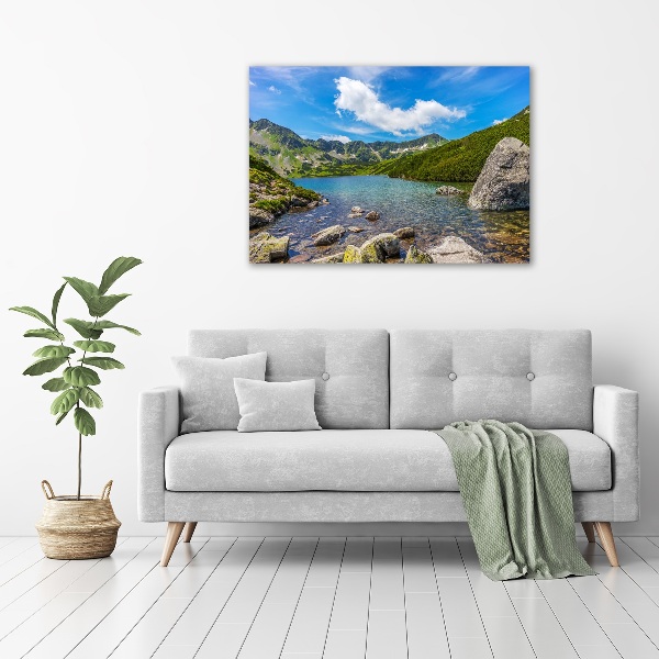 Print pe canvas Tatra Valley