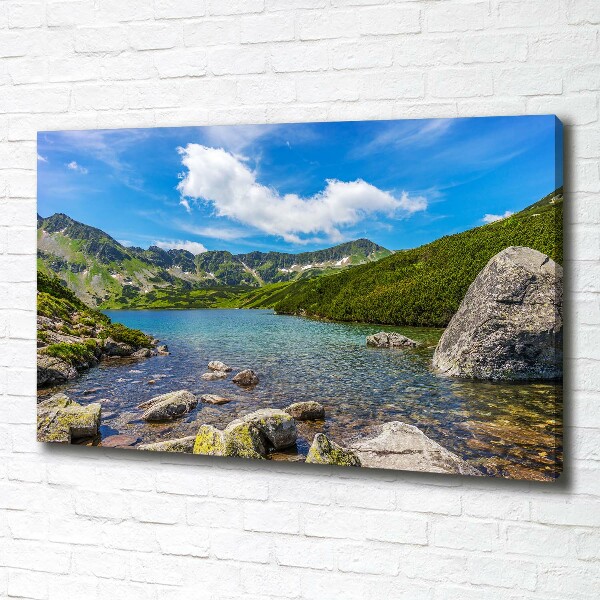 Print pe canvas Tatra Valley