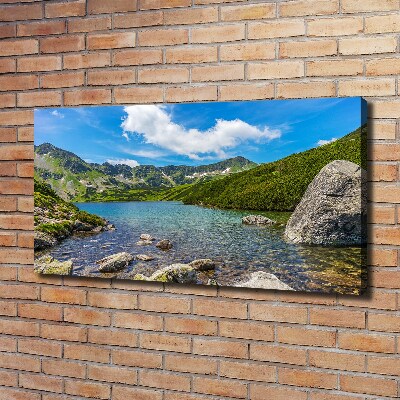 Print pe canvas Tatra Valley