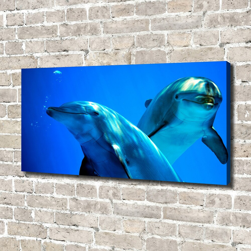 Tablou pe pânză doi delfini
