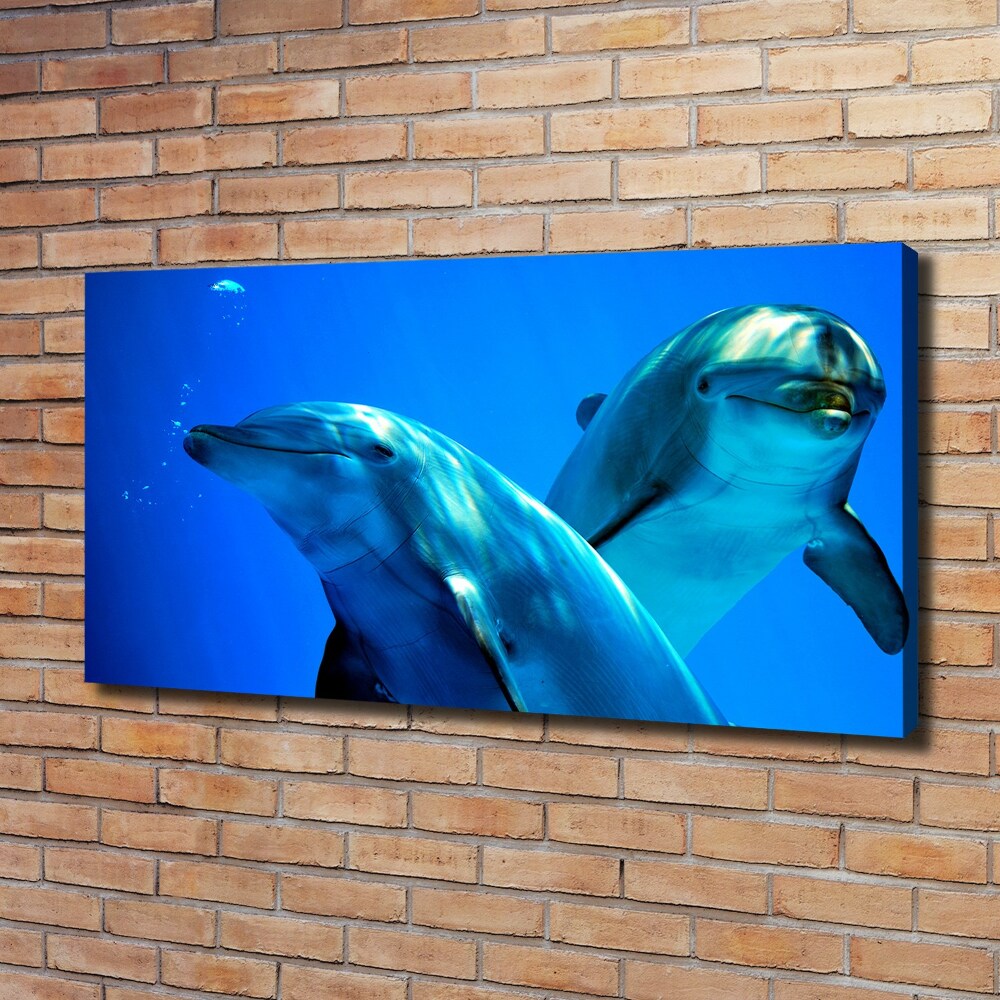 Tablou pe pânză doi delfini