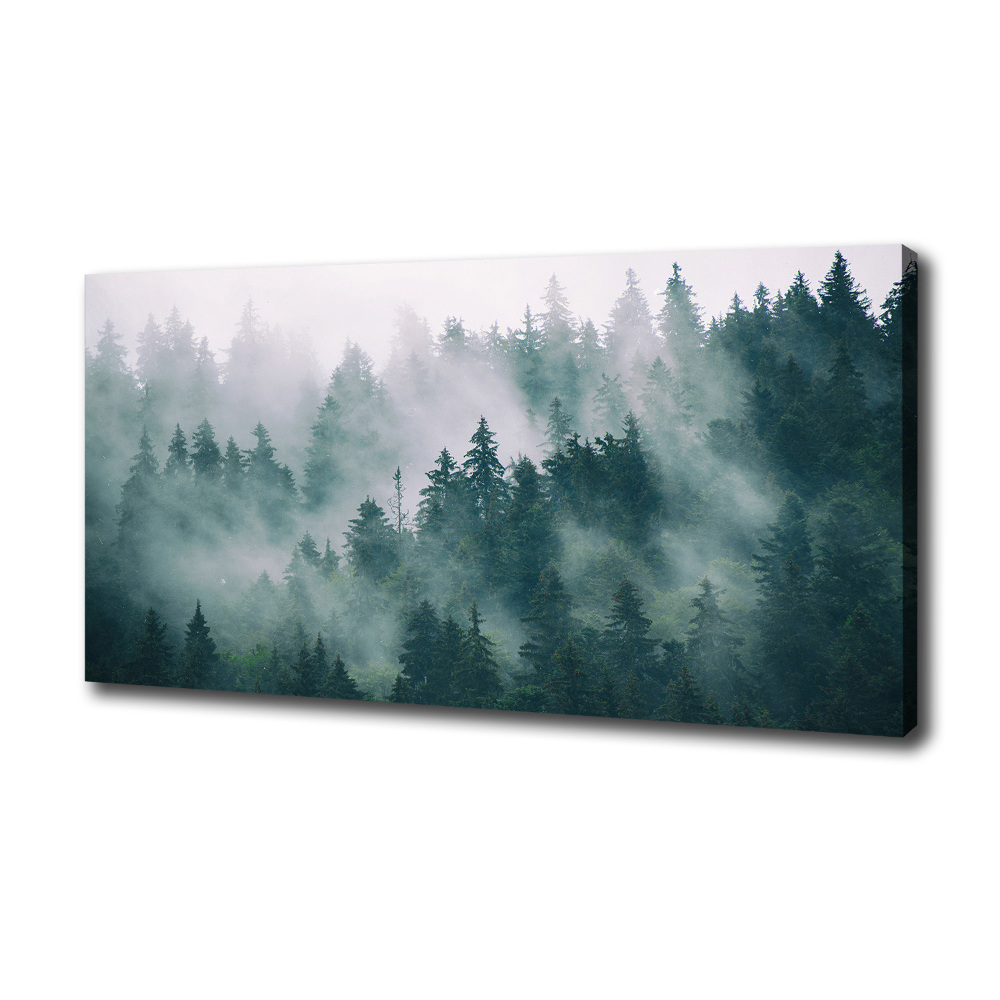 Pictură pe pânză Ceață peste pădure