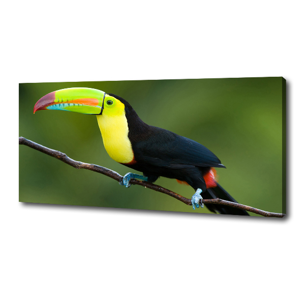 Print pe pânză Toucan