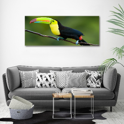 Print pe pânză Toucan