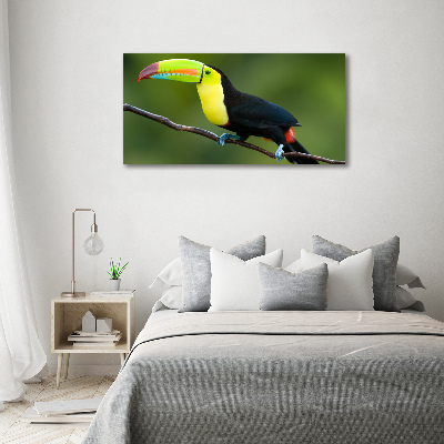 Print pe pânză Toucan