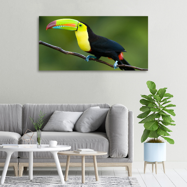 Print pe pânză Toucan