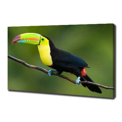 Print pe pânză Toucan