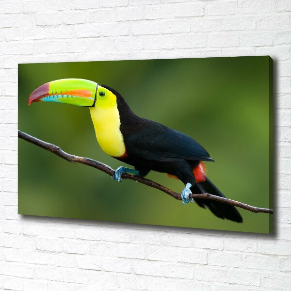 Print pe pânză Toucan