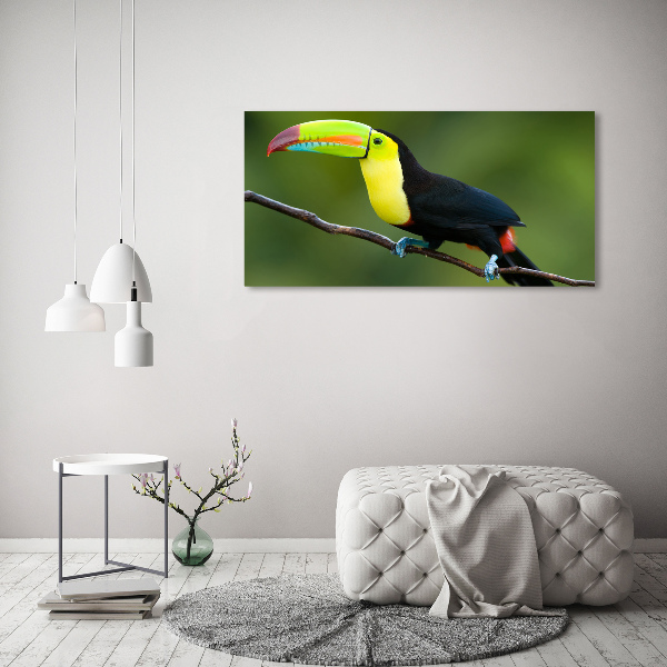 Print pe pânză Toucan