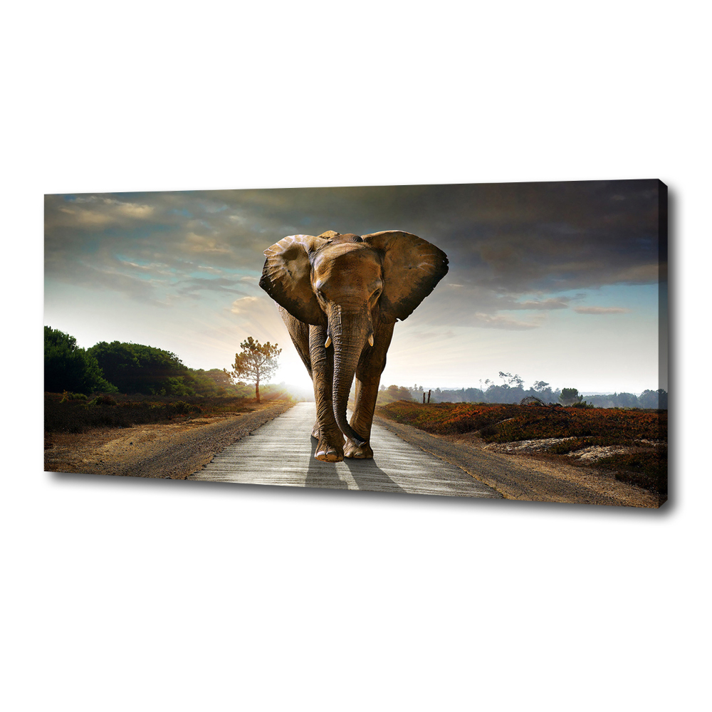 Tablou pe pânză elefant de mers pe jos