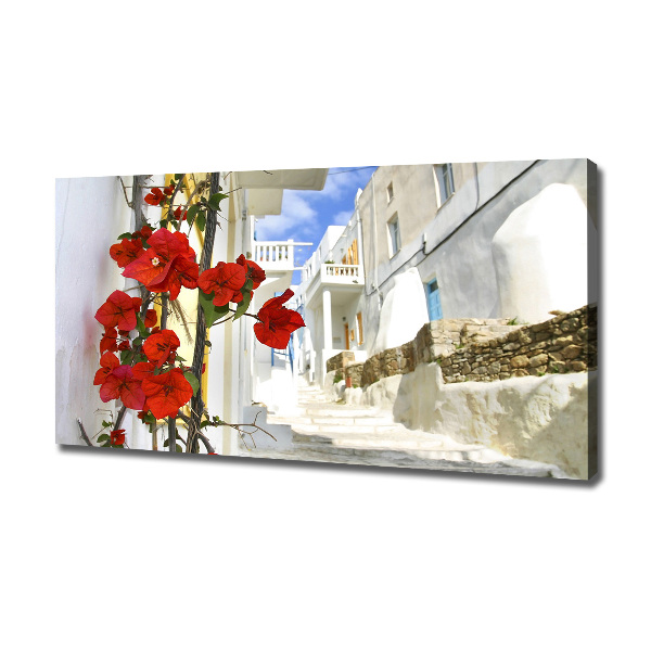 Imprimare tablou canvas Mykonos Grecia