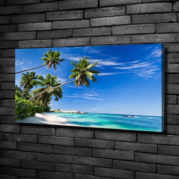 Tablou pe pânză canvas plaja tropicala