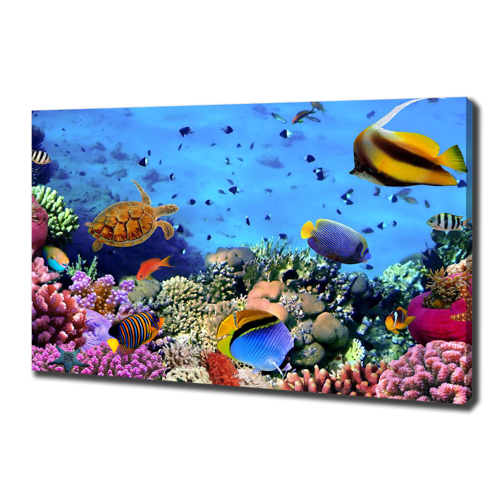 Tablouri tipărite pe pânză recif de corali