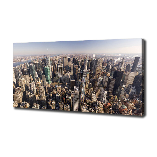 Tablou canvas New York pasăre de zbor