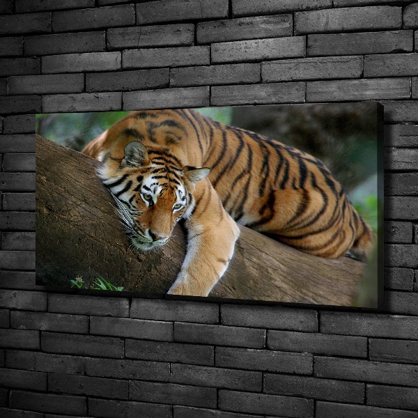 Tablou pe pânză canvas Tiger pe un copac