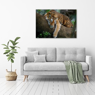 Tablou pe pânză canvas Tiger pe un copac