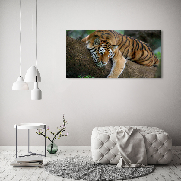 Tablou pe pânză canvas Tiger pe un copac