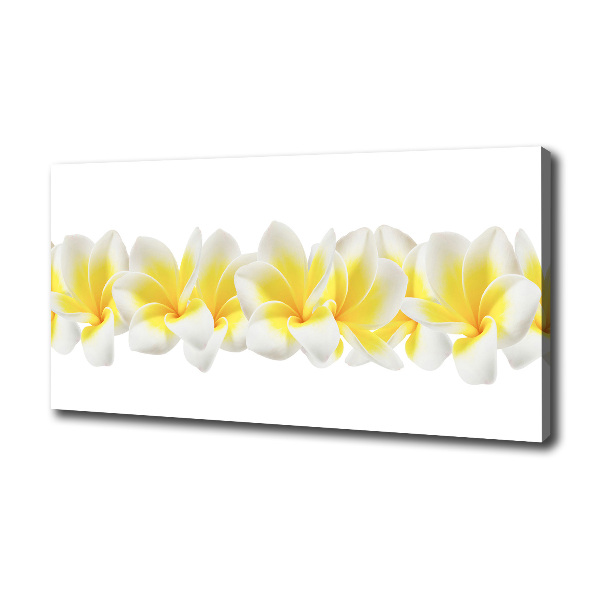 Print pe canvas plumeria