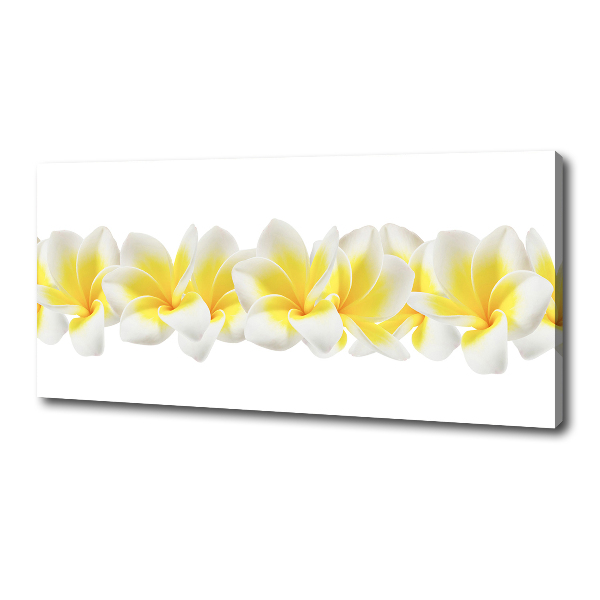 Print pe canvas plumeria