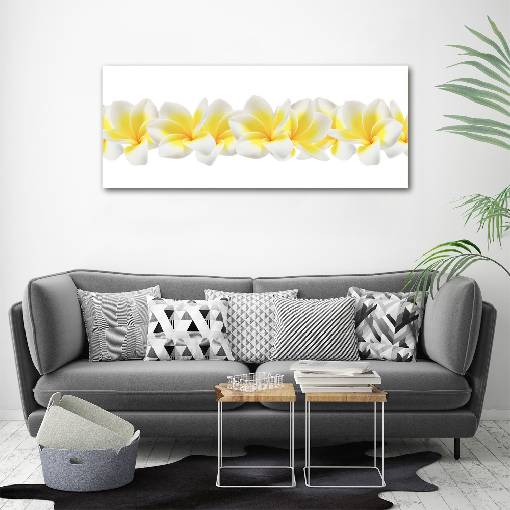 Print pe canvas plumeria