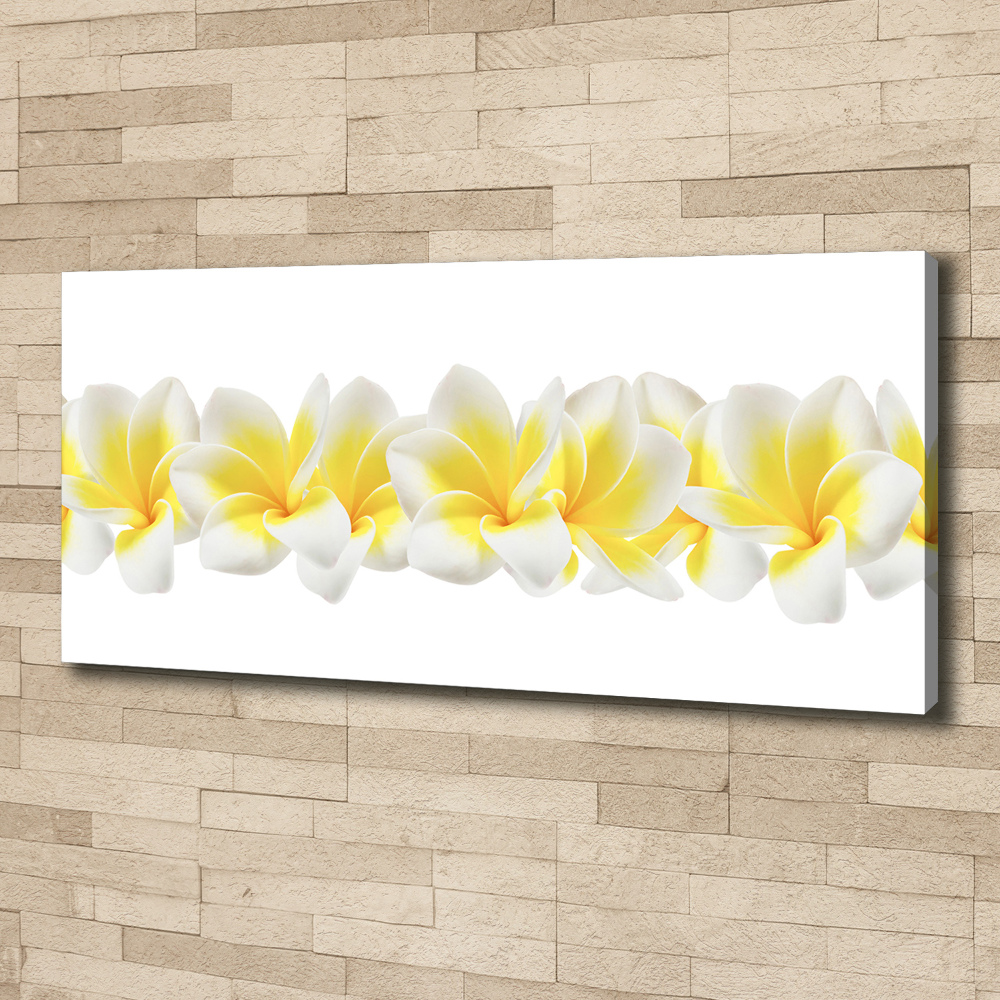 Print pe canvas plumeria