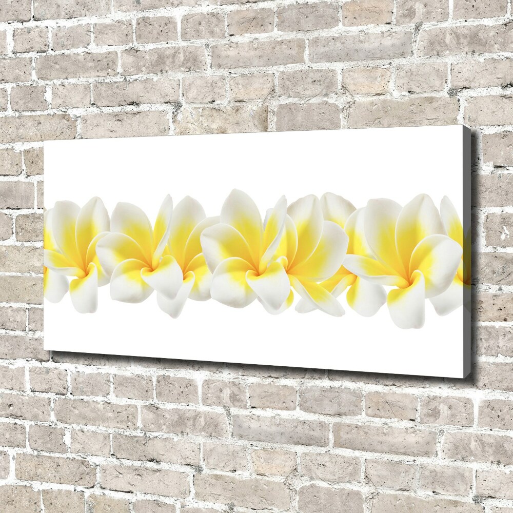 Print pe canvas plumeria