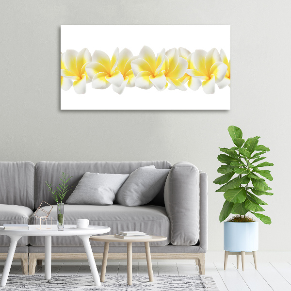 Print pe canvas plumeria