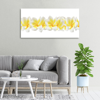 Print pe canvas plumeria