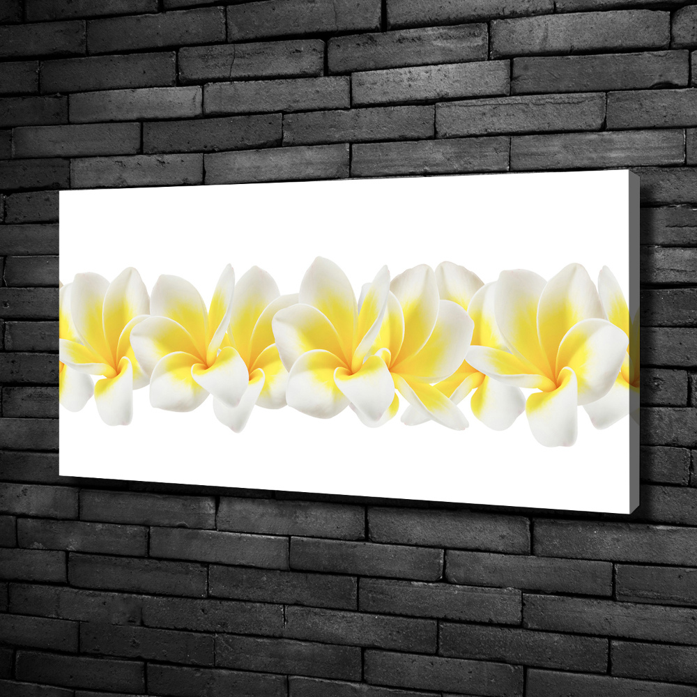 Print pe canvas plumeria