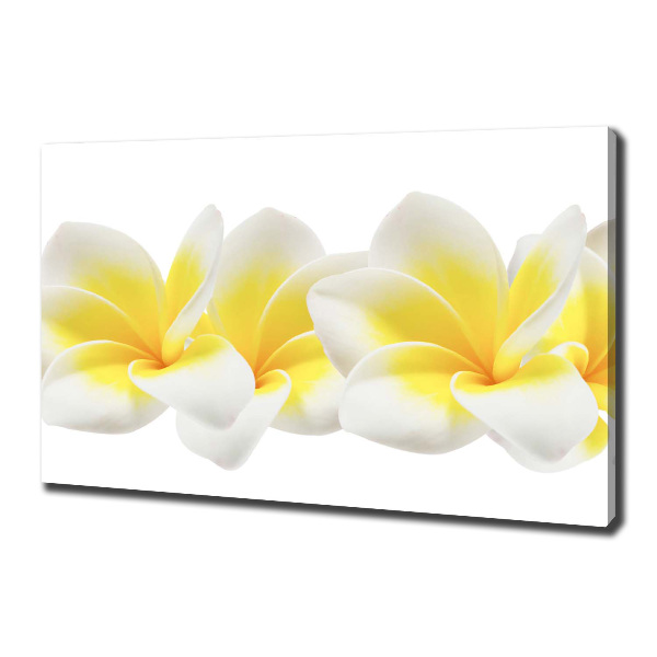 Print pe canvas plumeria